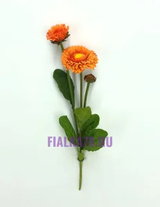 61 (20)