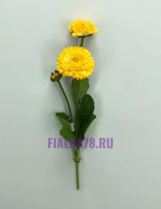 61 (21)