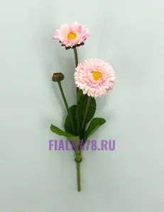 61 (23)