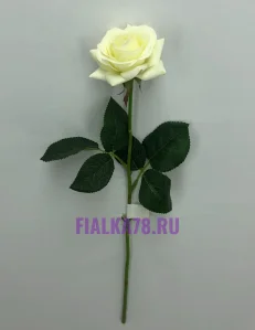 63 (2)