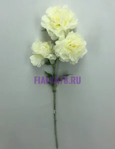 63 (4)