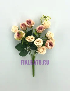 63 (25)