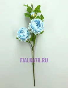63 (40)