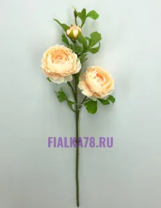 63 (42)