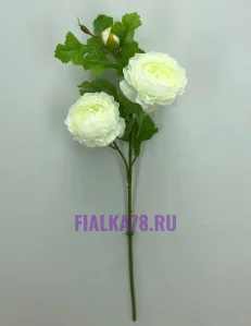 63 (43)