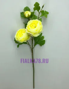 63 (44)