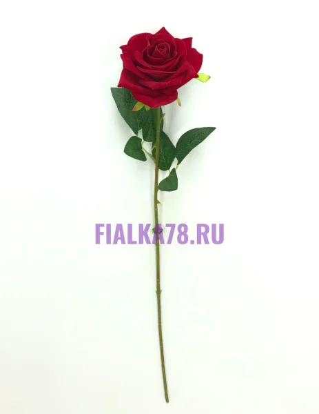 Роза Гран-При бархатная одиночная