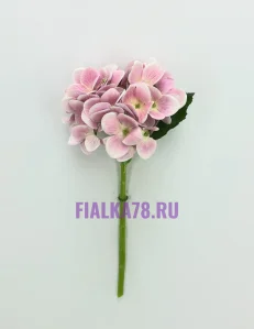 63 (76)