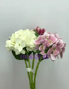 63 (79)