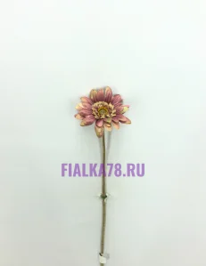 63 (84)