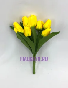 64 (28)