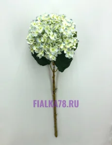 65 (3)