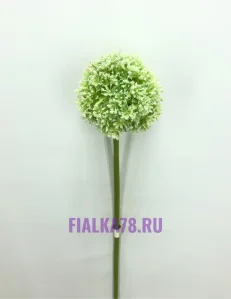 65 (6)
