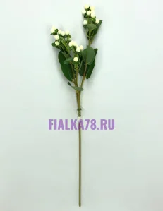 65 (10)