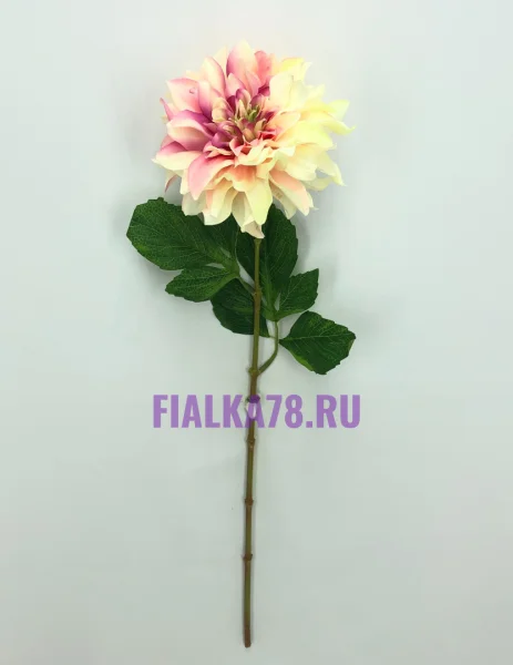Далия декор одиночная