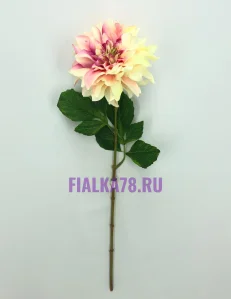 65 (12)
