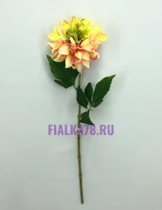 65 (13)