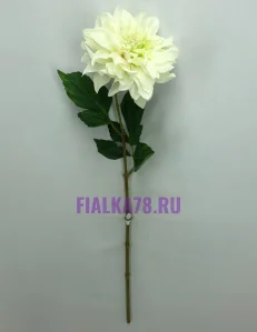 65 (14)