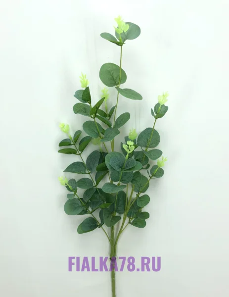 65 (17)