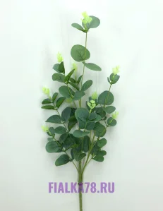 65 (17)