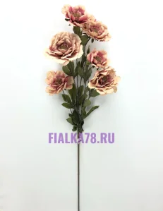 65 (19)