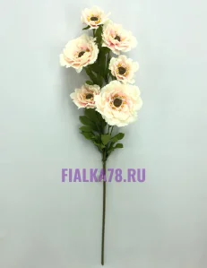 65 (21)