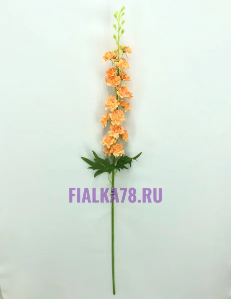 65 (31)