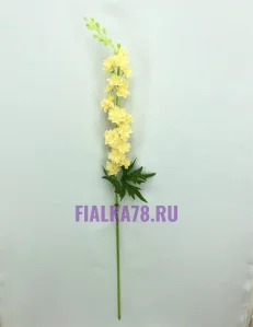 65 (32)