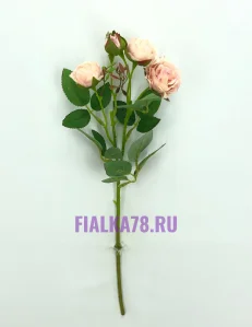 65 (52)