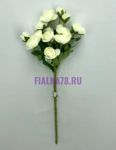 65 (58)