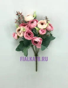 65 (60)