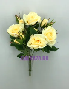 65 (93)