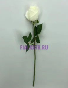 65 (96)