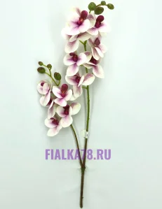 67 (1)