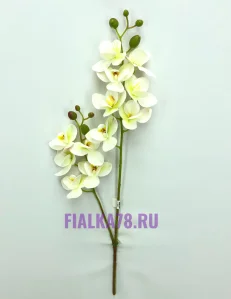 67 (5)