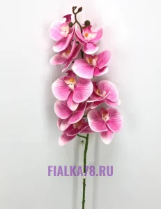 68 (33)