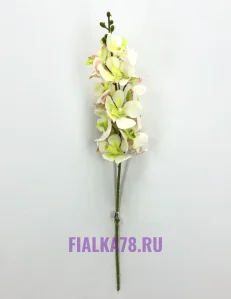 68 (36)