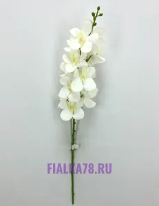 68 (37)