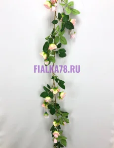 68 (48)