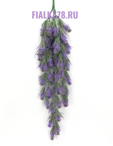 68 (25)
