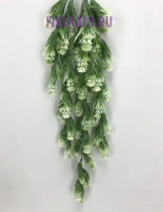 68 (30)
