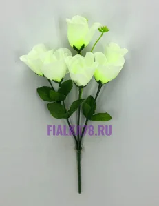 70 (29)