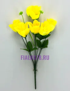 70 (31)