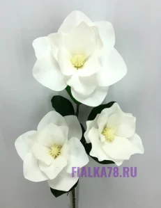70 (77)