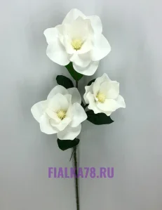 70 (78)