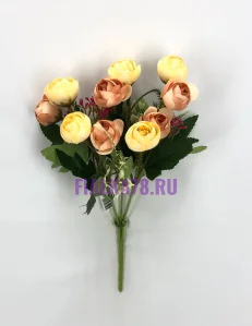 71 (10)