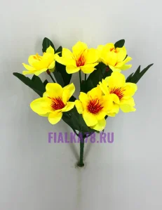 71 (81)