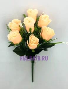 72 (11)