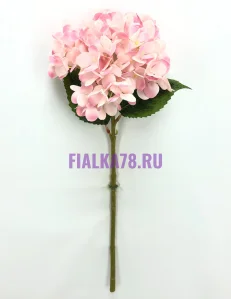 72 (21)