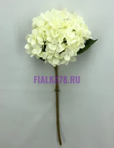 72 (22)